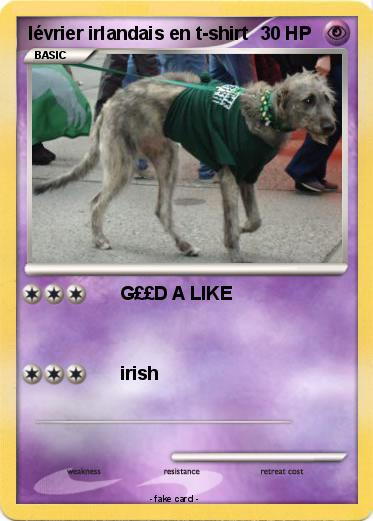 Pokemon lévrier irlandais en t-shirt