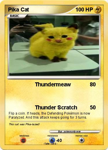 Pokemon Pika Cat
