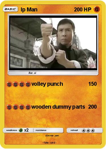Pokemon Ip Man