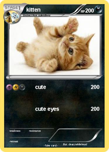 Pokemon kitten