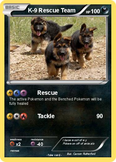 Pokemon K-9 Rescue Team