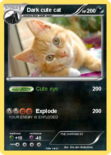 Pokemon Dark cute cat