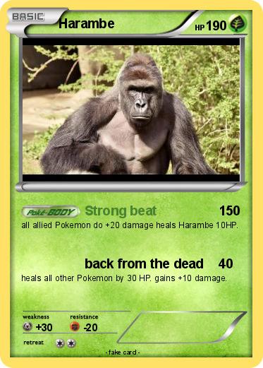 Pokemon Harambe