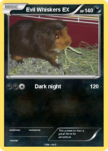 Pokemon Evil Whiskers EX