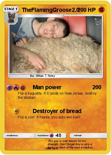 Pokemon TheFlamingGroose2.0