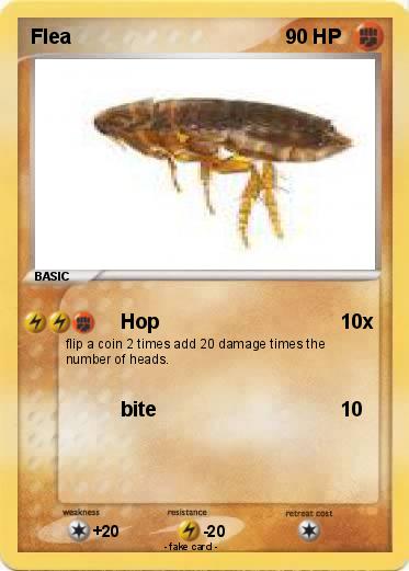 Pokemon Flea