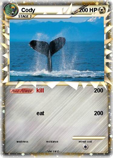 Pokemon Cody