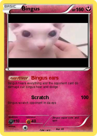 Pokemon Bingus