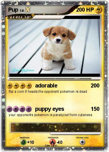 Pokemon Pup