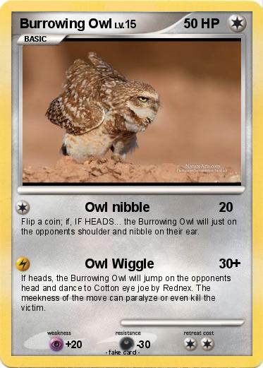 Pokemon Burrowing Owl