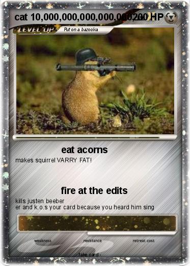 Pokemon cat 10,000,000,000,000,000,