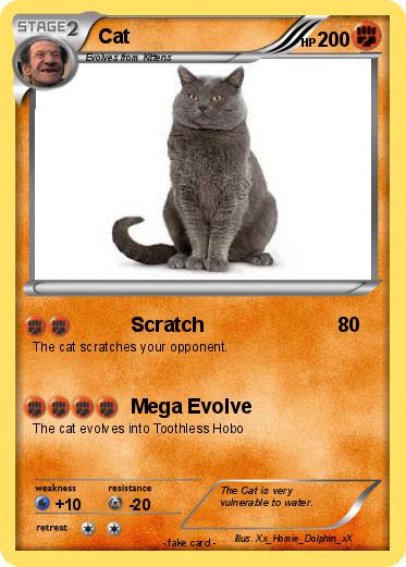 Pokemon Cat