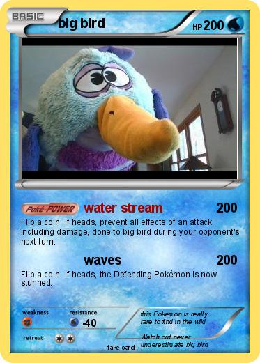 Pokemon big bird