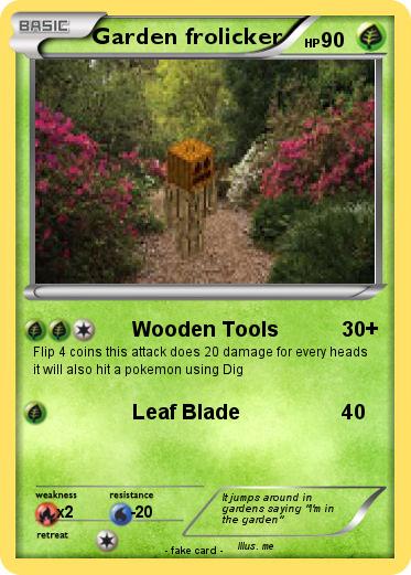 Pokemon Garden frolicker
