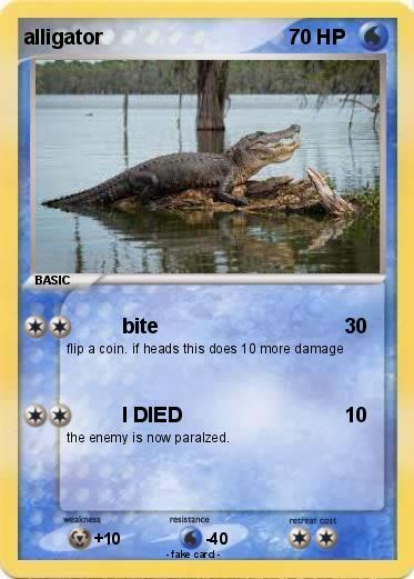 Pokemon alligator