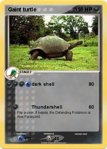 Pokemon Gaint turtle
