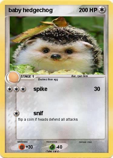 Pokemon baby hedgechog