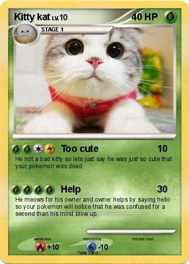 Pokemon Kitty kat