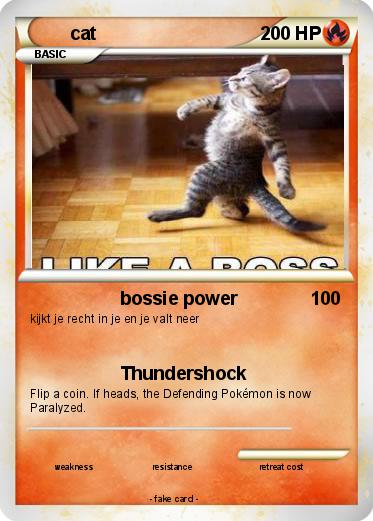 Pokemon cat