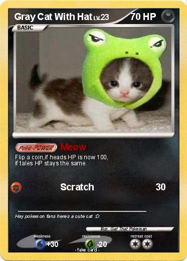 Pokemon Gray Cat With Hat
