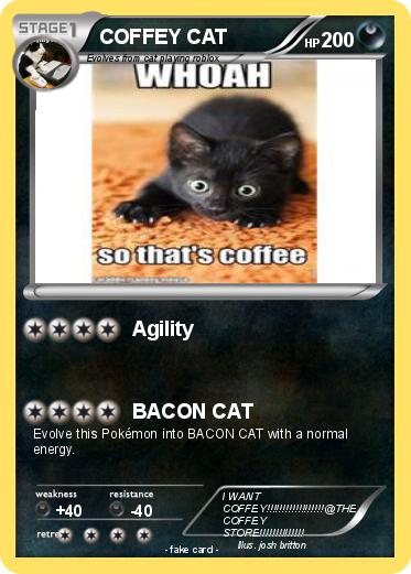 Pokemon COFFEY CAT