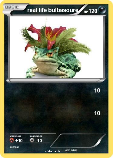 Pokemon real life bulbasoure