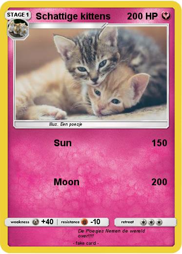Pokemon Schattige kittens
