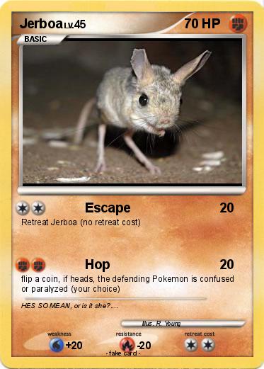 Pokemon Jerboa