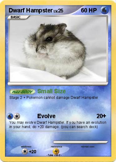 Pokemon Dwarf Hampster