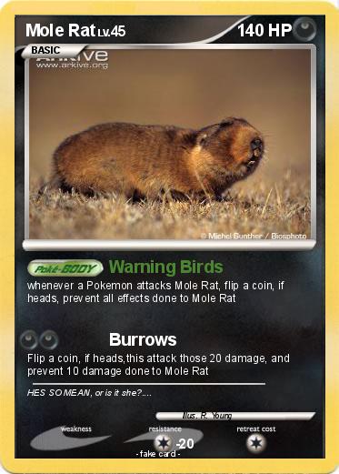 Pokemon Mole Rat