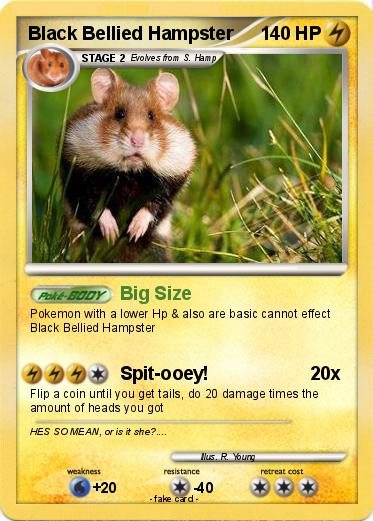 Pokemon Black Bellied Hampster