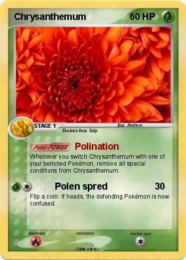 Pokemon Chrysanthemum