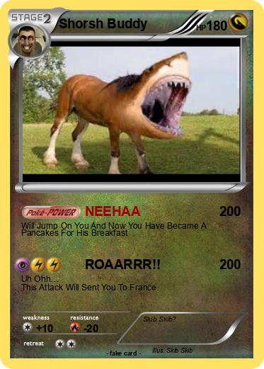 Pokemon Shorsh Buddy