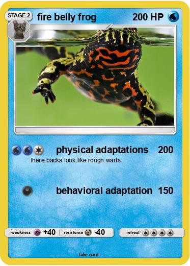Pokemon fire belly frog