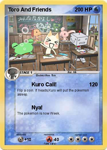 Pokemon Toro And Friends