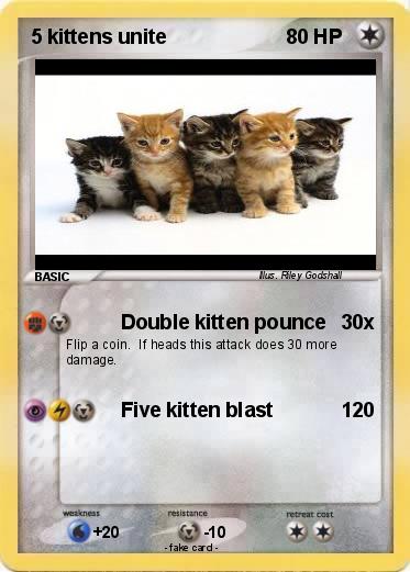Pokemon 5 kittens unite