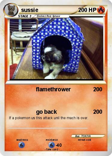 Pokemon sussie