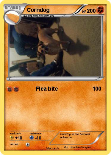 Pokemon Corndog