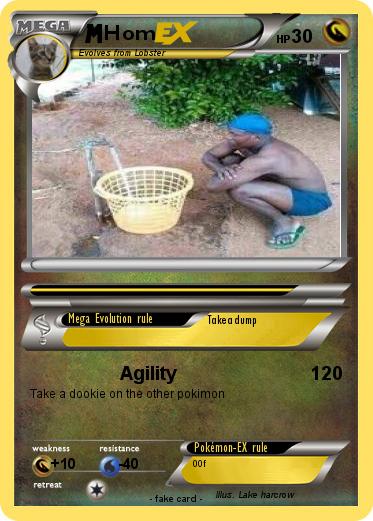 Pokemon Hom
