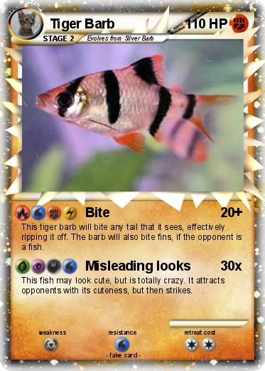 Pokemon Tiger Barb