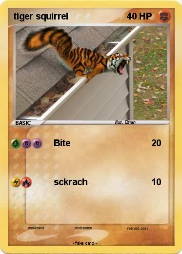 Pokemon tiger squirrel