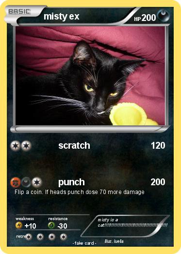 Pokemon misty ex