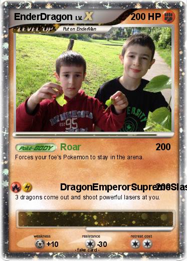 Pokemon EnderDragon