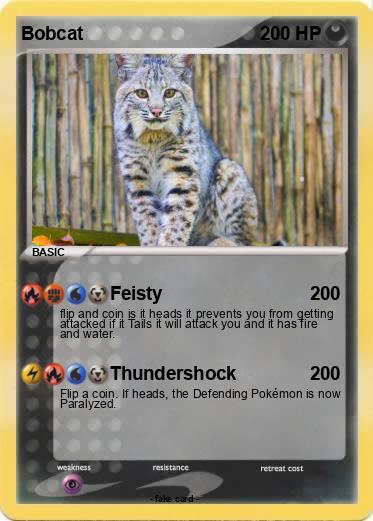 Pokemon Bobcat