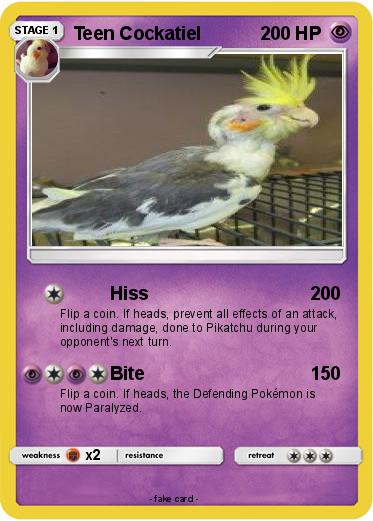 Pokemon Teen Cockatiel