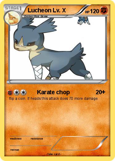 Pokemon Lucheon Lv. X