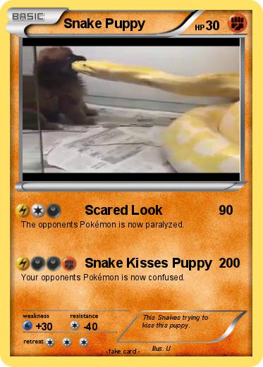 Pokemon Snake Puppy