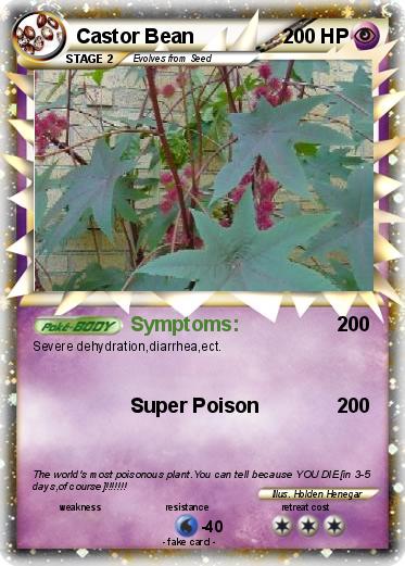 Pokemon Castor Bean