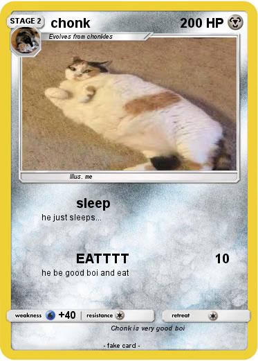 Pokemon chonk