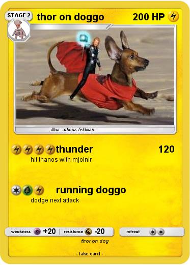 Pokemon thor on doggo